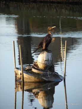 Martel novembre2021   (101)