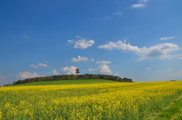 Croix de Lorraine 19-04-19 15-30-42