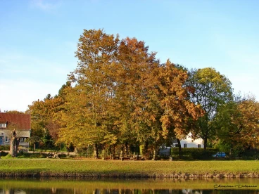 Martel 27-10-21 17-22-06