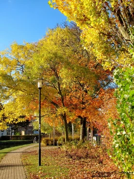 Martel 08-11-18 15-56-03