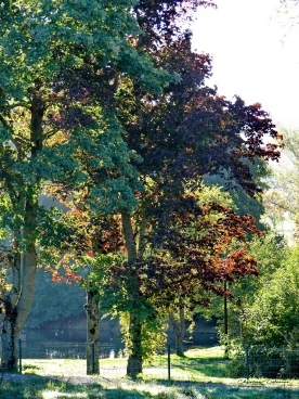 Martel 09-10-22 10-10-56