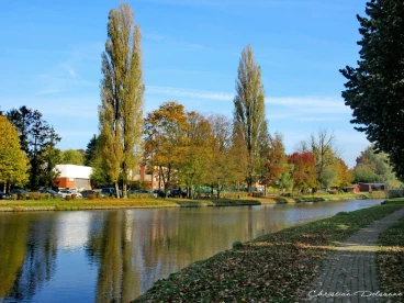 Martel 31-10-19 12-50-35