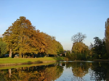 Martel 27-10-21 17-20-43