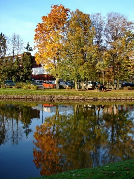 Martel 27-10-21 17-17-43