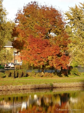 Martel 27-10-21 17-17-37