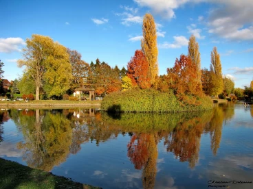 Martel 08-11-18 15-58-28