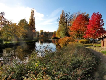 Martel 08-11-18 15-52-51