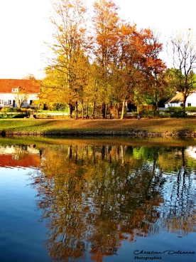 Martel 10-11-21 16-58-10