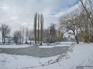 Martel 23-01-19 13-29-23