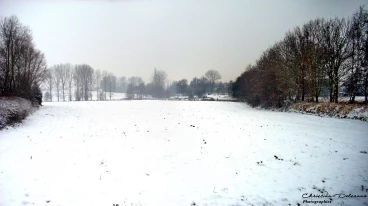 Martel 01-01-07 00-00-00 3