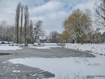 Martel 23-01-19 13-29-51