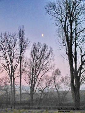 Martel 29-03-19 07-11-08