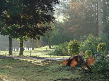 Martel 11-10-20 09-32-06