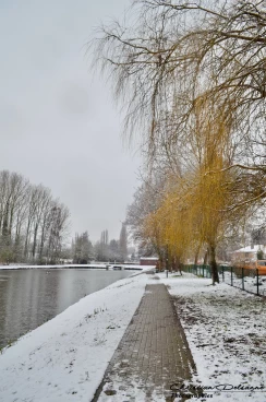 Martel 30-01-19 14-17-41