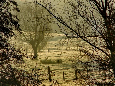 Martel 20-11-20 10-07-22