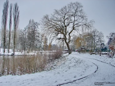 Martel 08-02-21 14-35-20