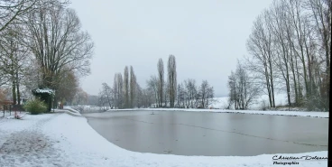 Martel 02-02-19 14-11-25