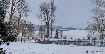 Martel 08-02-21 11-29-41