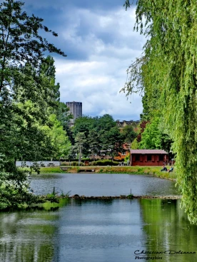 Martel 02-07-20 12-39-59