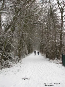 Martel 23-01-19 13-34-57