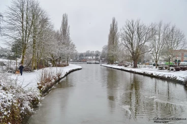 Martel 30-01-19 14-14-28