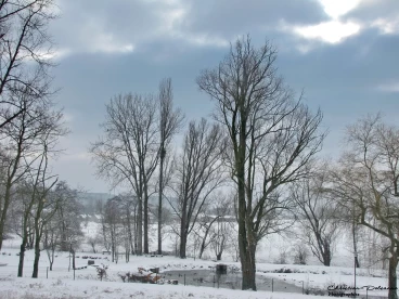 Martel 23-01-19 13-08-57