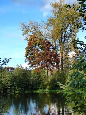 Martel 25-10-22 16-41-49