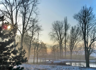 Martel 03-02-19 10-26-29