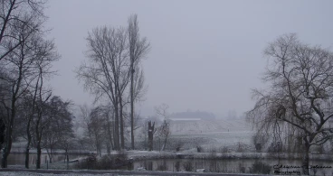 Martel 07-02-21 18-39-02