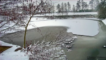 Martel 01-01-07 00-00-00 2