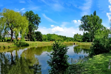 Martel 18-06-19 16-04-11