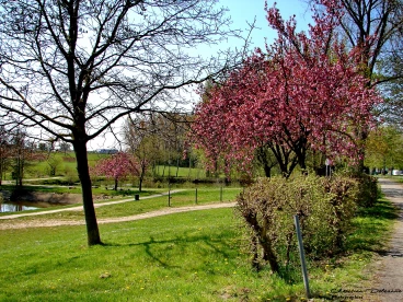 Martel 28-04-21 13-20-22