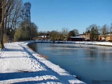 Martel 11-02-21 12-14-19