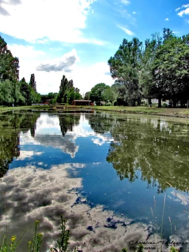 Martel 18-06-20 17-39-41