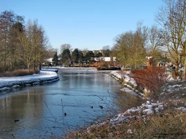 Martel 11-02-21 12-16-33