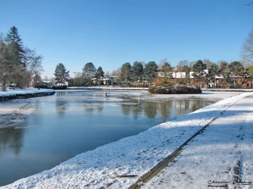 Martel 11-02-21 12-18-42