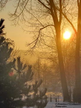 Martel 16-01-13 11-42-42