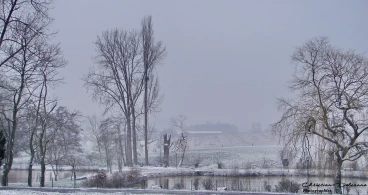 Martel 07-02-21 18-39-02 1