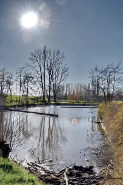 Martel 23-03-20 16-52-07