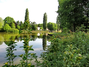 Martel 18-05-14 10-18-05