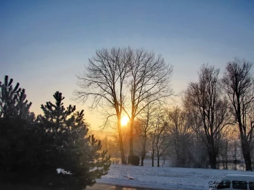 Martel 16-01-13 11-42-01