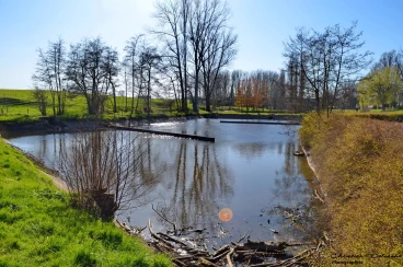 Martel 23-03-20 16-52-03