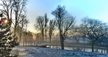 Martel 03-02-19 10-26-48