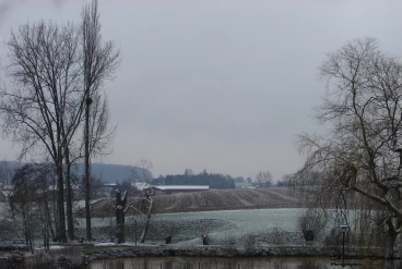 Martel 07-02-21 13-33-29