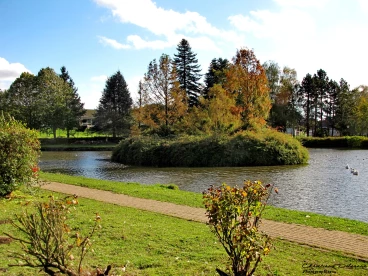 Martel 21-10-20 15-30-25