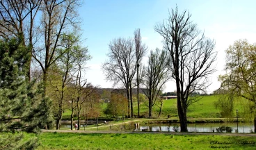 Martel 07-04-20 16-09-16