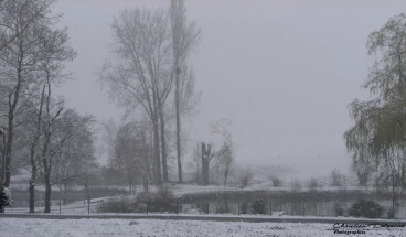 Martel 06-04-21 10-44-03