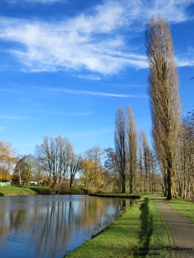 Martel 16-01-20 14-05-16