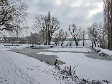 Martel 23-01-19 13-27-11