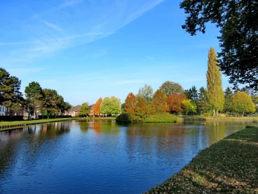 Martel 31-10-19 12-49-52